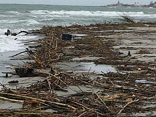 mazara-bascone-sib-scrive-al-sindaco-cristaldi-sui-detriti-in-spiaggia-provenienti-dal-fiume-delia