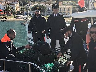 recuperati-e-rigettati-in-mare-15-000-ricci