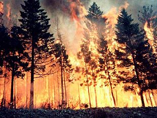 vigili-del-fuoco-vasto-incendio-sul-monte-erice-e-27-altri-interventi-per-incendi-nel-territorio-della-provincia-di-trapani