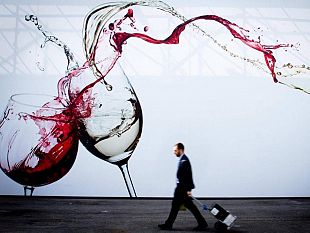 assostampa-la-regione-siciliana-viola-la-legge-cercando-giornalista-a-gratis-per-vinitaly