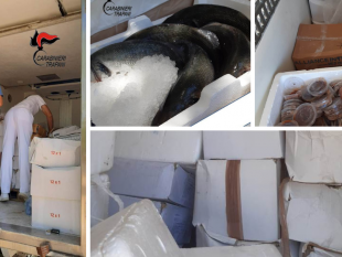 trapani/favignana-pesce-in-cattivo-stato-di-conservazione-e-senza-tracciabilita
