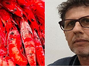 pesca-nasce-lop-blue-sea-del-gambero-rosso-di-mazara-del-vallo
