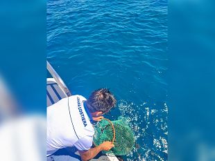 mazara-pesca-abusiva-dei-ricci-di-mare-operazione-congiunta-di-guardia-costiera-e-carabinieri