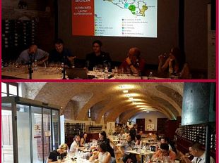 sicilia-barolo-festival-collisioni-i-grandi-autoctoni-siciliani-conquistano-critica-e-importatori-stranieri