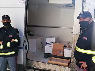 la-polizia-di-stato-sequestra-116-kg-di-pesce-denunciato-trasportatore