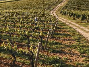 siccita-altri-aiuti-agli-agricoltori-le-domande-dal-16-dicembre