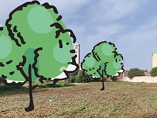 marsala-ingianni-promessa-mantenuta-alberi-allasilo-nido-di-amabilina