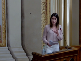 trapani/incendi-boschivi-la-ciminnisi-chiede-commissione-di-inchiesta-e-presenta-interrogazione