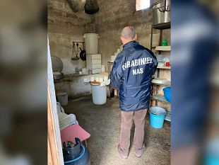trapani/sanzioni-e-sequestri-dei-nas-in-un-caseificio-in-provincia-di-trapani