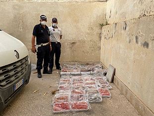 operazione-contro-commercio-abusivo-di-pesce-in-piazzetta-dello-scalo
