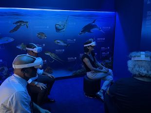 pantelleria-museo-di-punta-spadillo-la-stanza-del-mare-e-le-attivita-di-agosto