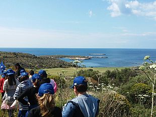 450-studenti-diventano-delfini-guardiani-per-tutelare-le-isole-eolie-ed-egadi