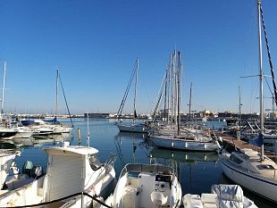 eurafrica-cup-2019-vele-senza-frontiere-hanno-preso-il-mare-alla-volta-di-yasmine-hammamet-le-imbarcazioni-che-partecipano-alla-competizione