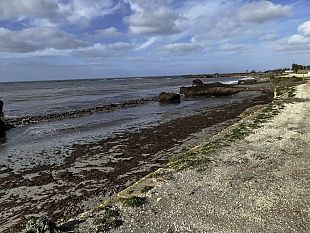 petrosino-un-cadavere-sulla-spiaggia-di-torrazza