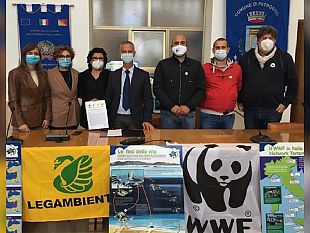 marsala/petrosino-wwf-legambiente-e-li-nosengo-uniti-per-la-tutela-delle-tartarughe