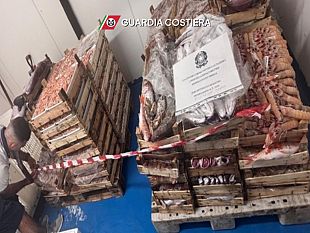 la-guardia-costiera-sequestra-attrezzi-irregolari-e-350-kg-di-prodotto-ittico