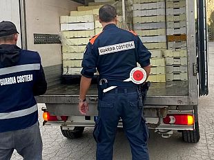 trapani-sequestrati-800-chili-di-prodotti-ittici-non-tracciati-e-scaduti-sanzionati-10-commercianti