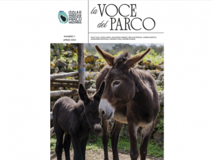 pantelleria-nasce-la-voce-del-parco