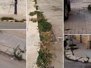 trapani-cresce-il-degrado-lungo-la-via-del-cipresso