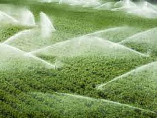 raddoppiano-le-tariffe-idriche-la-denuncia-della-consulta-agricola