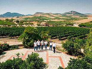 sei-medaglie-doro-ed-una-dargento-i-vini-dellazienda-magaddino-collezionano-riconoscimenti
