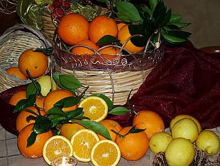 agrumi-a-causa-coronavirus-rinviata-visita-in-sicilia-di-buyer-e-giornalisti-cinesi