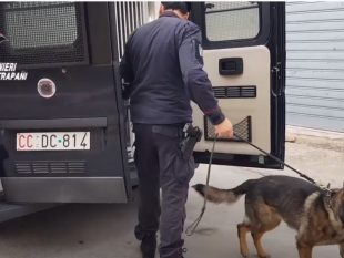 trapani-le-immagini-del-blitz-la-famiglia-deteneva-droga-e-animali-protetti