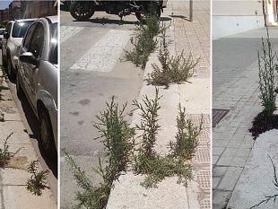 trapani-cresce-il-degrado-lungo-la-via-xx-settembre