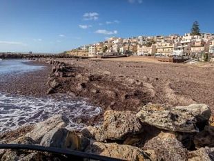 assolti-gli-impiegati-accusati-di-aver-smaltito-la-posidonia-senza-autorizzazione