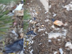 spazio-al-cittadino-erice-la-scerbatura-fa-discutere