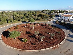 castelvetrano/parco-archeologico-di-selinunte-restyling-degli-spazi-e-accoglienza-di-qualita