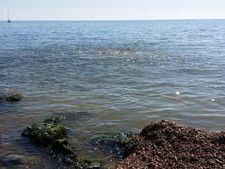 s-o-s-depuratore-ritornata-ancor-piu-la-puzza-e-nuovo-problema-al-pennellone