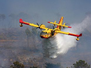 incendi-in-sicilia-safina-pd-chiede-chiarezza-sui-mezzi-aerei-di-soccorso