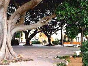 mazara/ragazzo-tunisino-accoltellato-alla-villa-jolanda