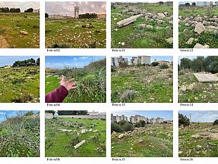 ambiente-aggiudicata-la-gara-per-il-restauro-della-vegetazione-ziziphus-in-con