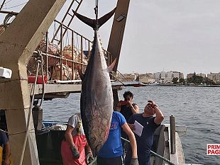 marsala/la-pesca-del-tonno-rosso-fra-passato-e-futuro