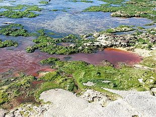 mazara-acque-rosse-vicino-alla-chiesa-di-san-vito-a-mare-miracolo-o-piaga-problemi-e-dubbi-sul-depuratore-comunale