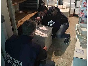 mazara-guardia-costiera-sequestrati-oltre-350-kg-di-prodotti-ittici