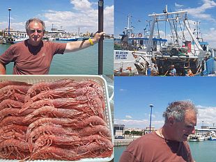 video-mazara-dopo-il-fermo-di-agosto-si-ritorna-a-pesca-una-vita-da-capitano
