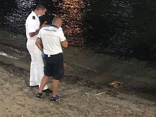 lido-valderice-le-ossa-ritrovate-in-spiaggia-appartenevano-ad-uno-squalo