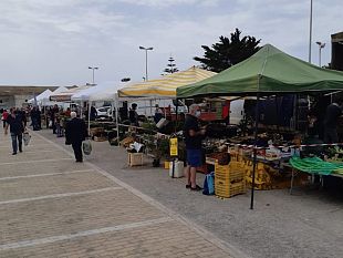 mercato-del-contadino-si-svolgera-vicino-al-monumento-dei-mille