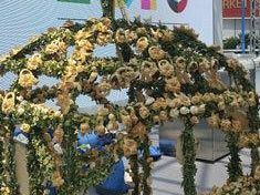 la-festa-di-san-giuseppe-da-salemi-all-expo-di-milano-un-altare-di-pane-in-mostra-al-cluster-bio-mediterraneo