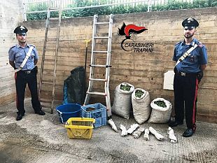 mazara-intensificati-i-servizi-2-arresti-e-10-denunce-dei-carabinieri