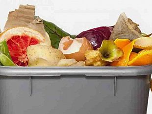 marsala-da-lunedi-in-distribuzione-gratuita-i-sacchetti-per-l-organico