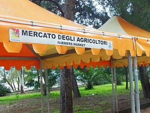 il-mercato-degli-agricoltori-l-angolo-verde-a-castelvetrano-a-favore-dei-piccoli-braccianti-agricoli-e-dei-prodotti-a-km0