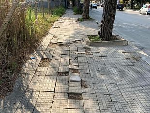via-virgilio-allo-sbando-alberi-illuminazione-e-marciapiedi-pericolosi