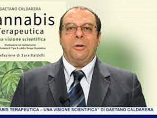 gaetano-caldarera-presentera-il-volume-cannabis-terapeutica-una-visione-scientifica