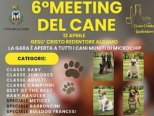 ad-alcamo-il-sesto-meeting-del-cane