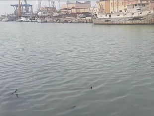 dragaggio-porto-di-mazara-ancora-complicazionisi-aspettano-elezioni-regionali
