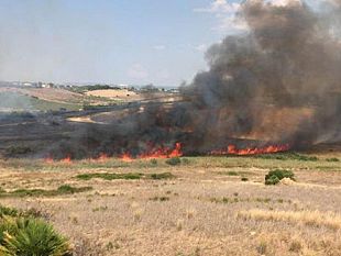 fuoco-al-parco-archeologico-di-selinunte-dieci-ettari-di-macchia-mediterranea-in-fumo